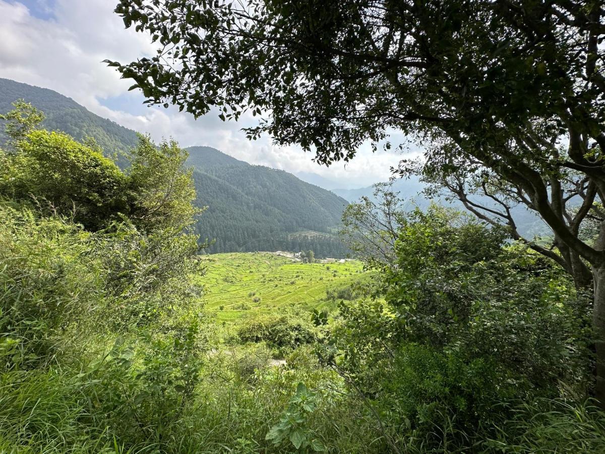 Deodar Village Homestay Devalsari Mussoorie Luaran gambar