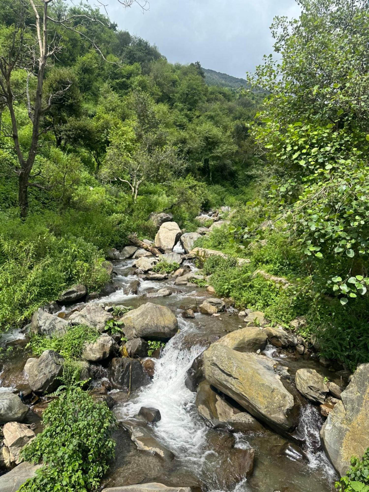 Deodar Village Homestay Devalsari Mussoorie Luaran gambar
