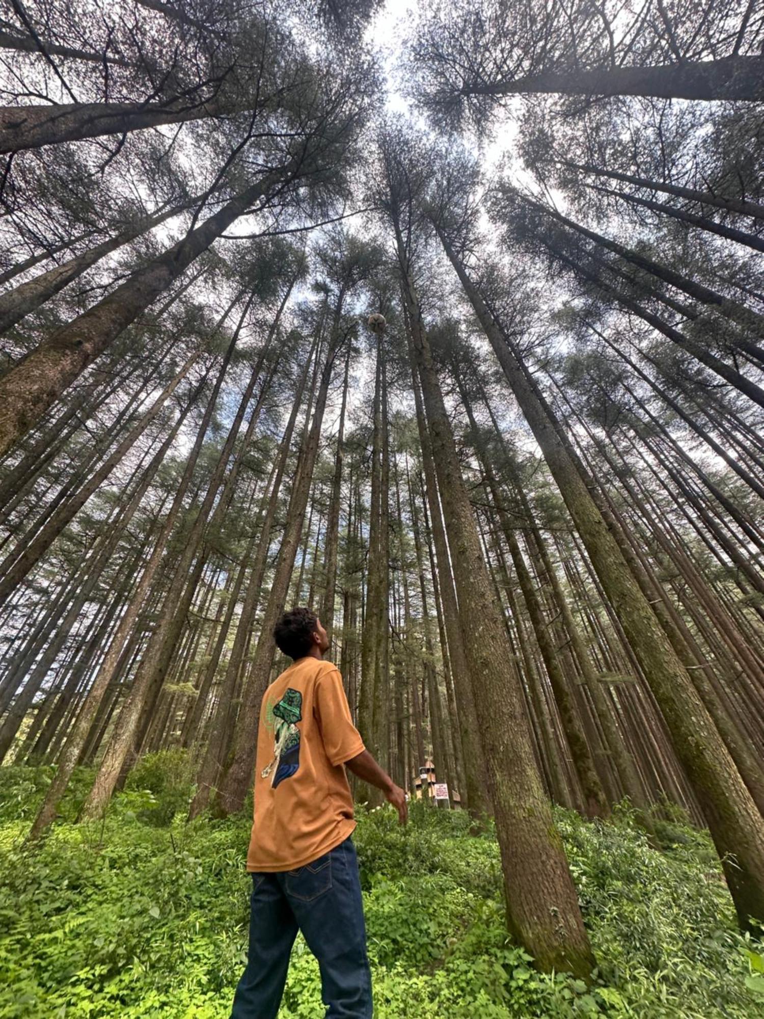 Deodar Village Homestay Devalsari Mussoorie Luaran gambar