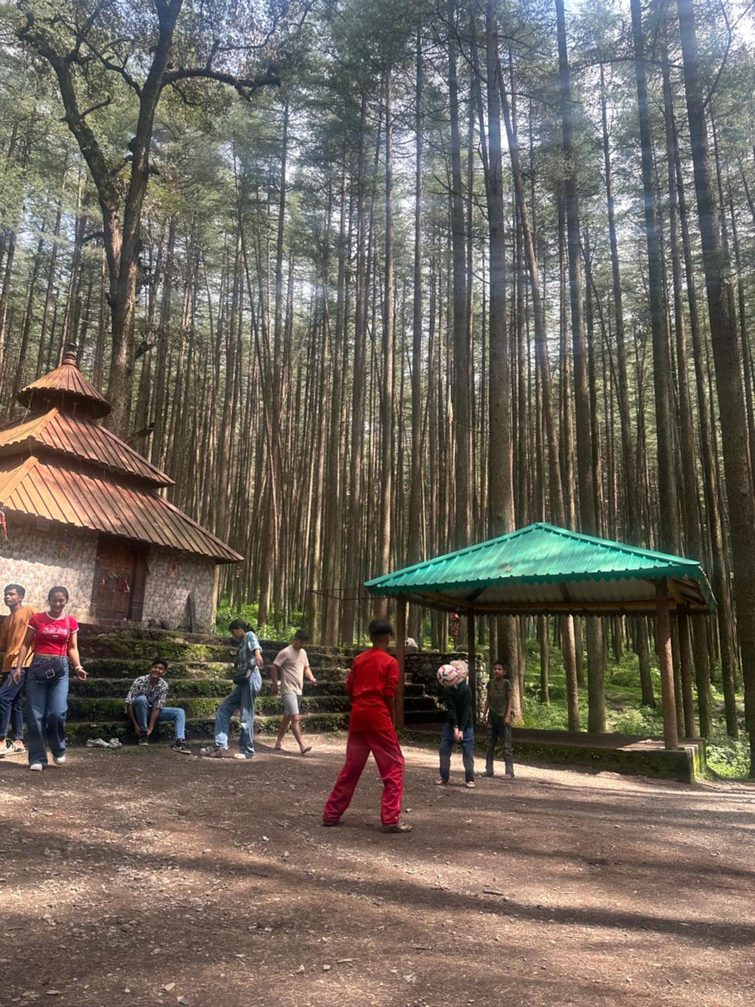Deodar Village Homestay Devalsari Mussoorie Luaran gambar