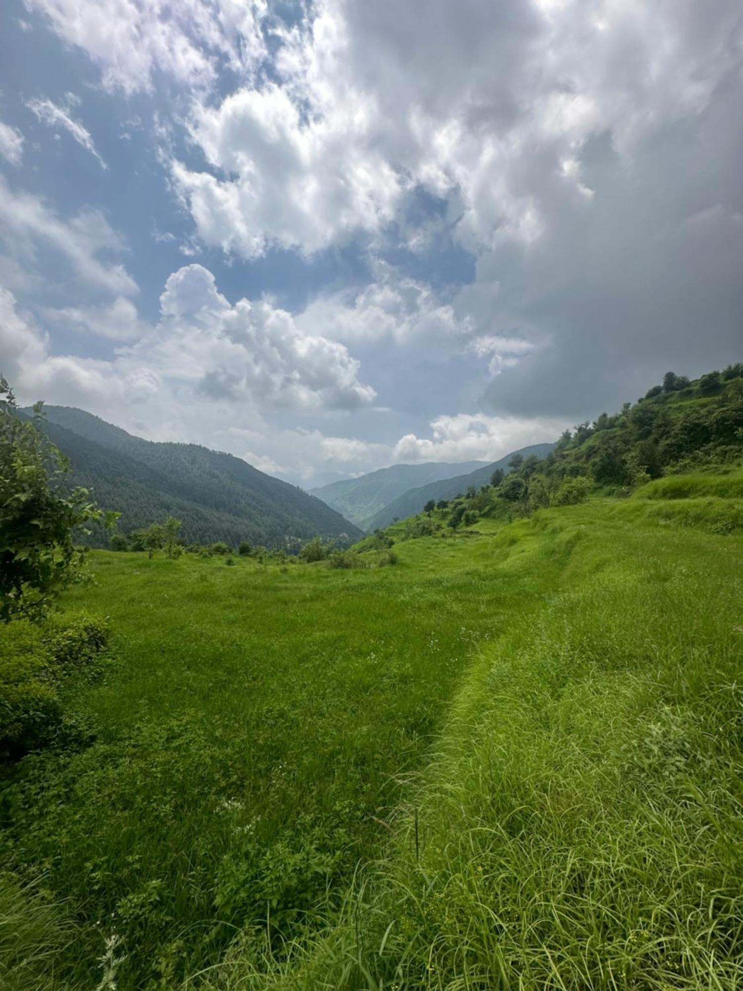 Deodar Village Homestay Devalsari Mussoorie Luaran gambar