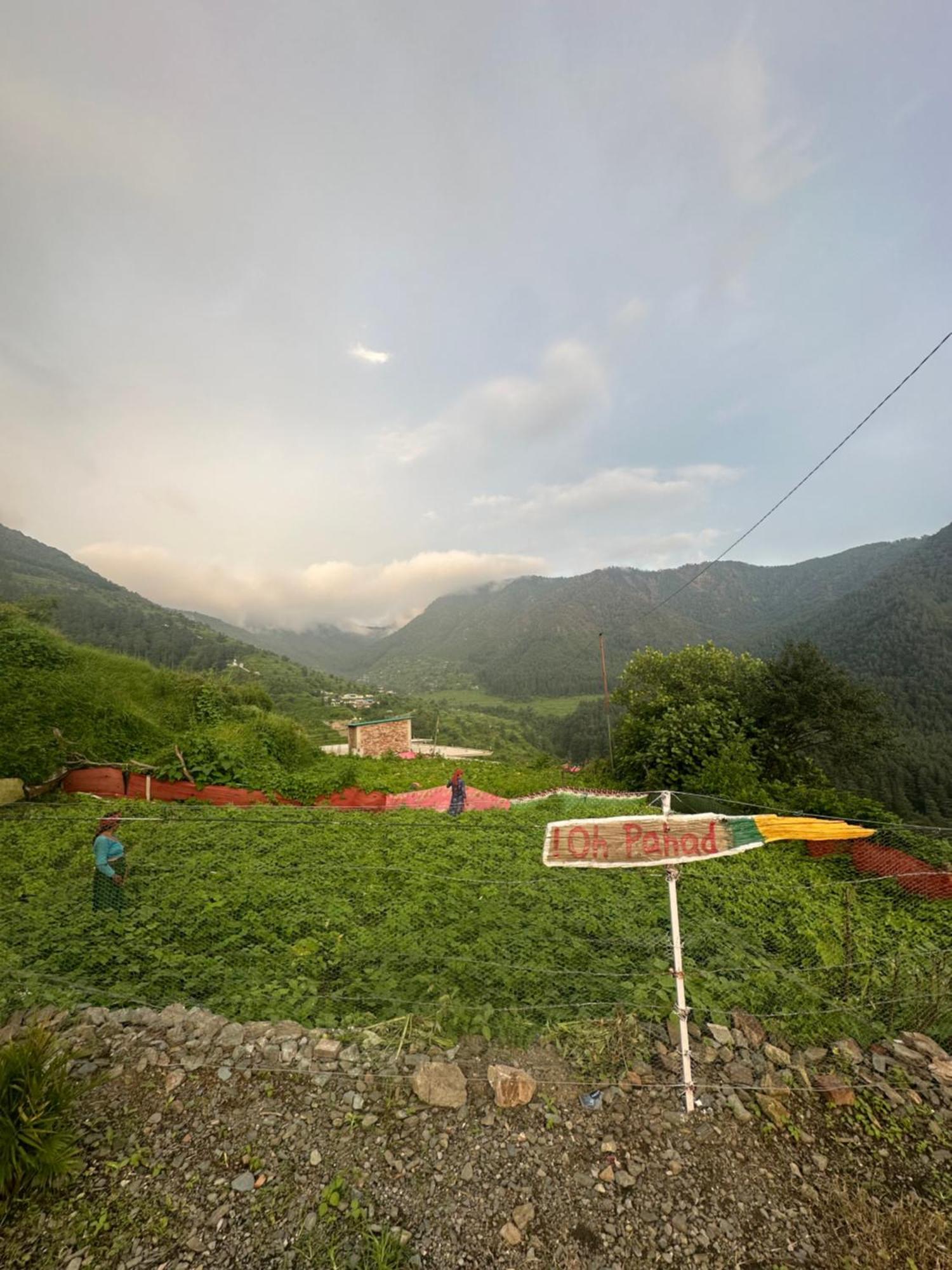 Deodar Village Homestay Devalsari Mussoorie Luaran gambar