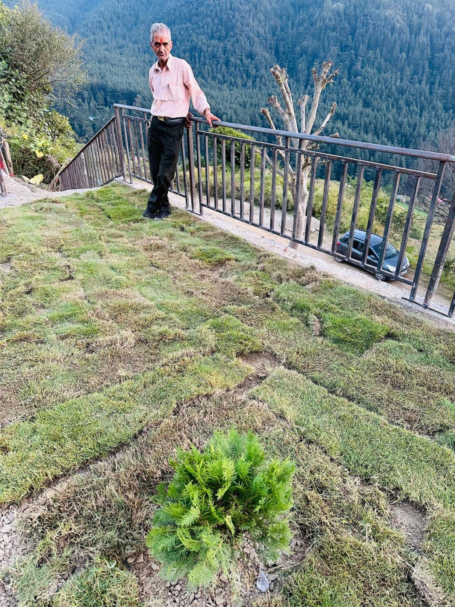 Deodar Village Homestay Devalsari Mussoorie Luaran gambar