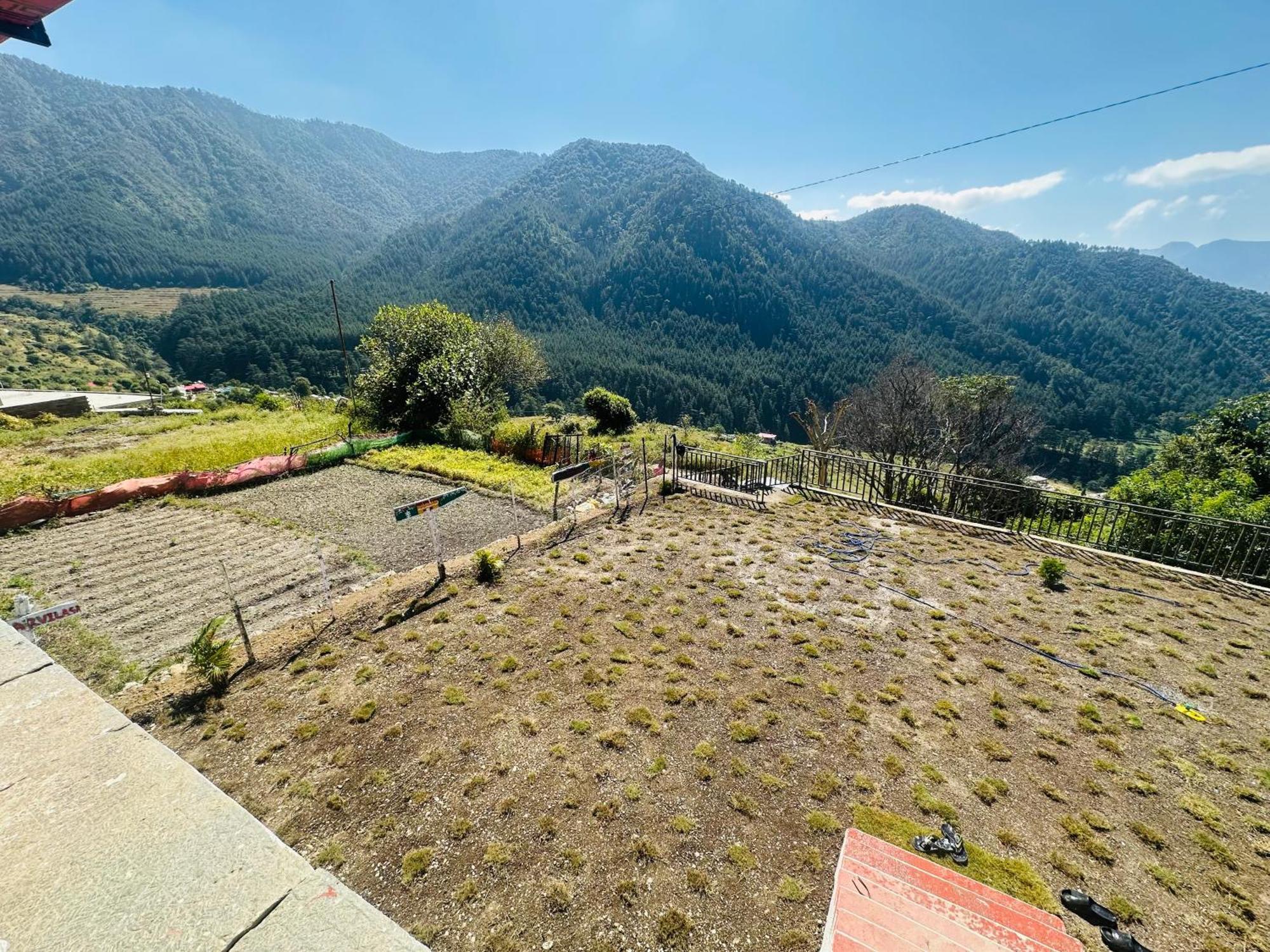 Deodar Village Homestay Devalsari Mussoorie Luaran gambar